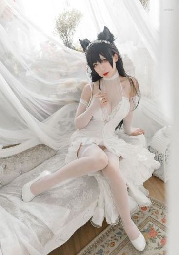 一个人在线观看免费视频