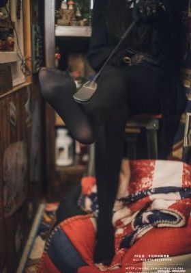 岳母的简介电影