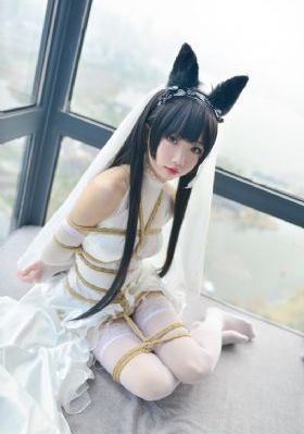 传奇人生1-100集免费观看短剧